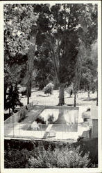 Paraiso Hot Springs Postcard