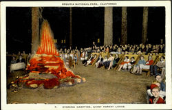 Evening Campfire Giant Forest Lodge, Sequioa National Park Postcard