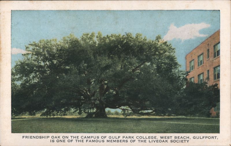 Friendship Oak on the Campus of Gulf Park College, West Beach Gulfport Mississippi