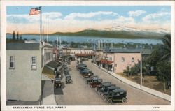 Kamehameha Avenue Postcard