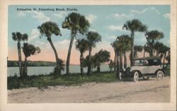 Palmettos, St. Petersburg Beach Postcard