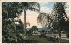 A View in Harbor Oaks Postcard