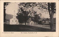 The Common, Wentworth, N. H. Postcard