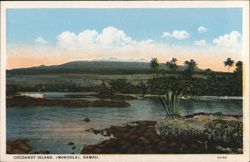 Cocoanut Island (Mokuola), Hawaii Postcard