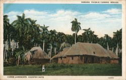 Cuban Landscape, Country Huts Postcard