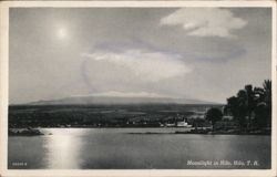 Moonlight in Hilo Postcard