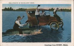 The Fishing is Excellent Here Postcard