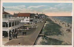 Board Walk from Ocean Pier Postcard