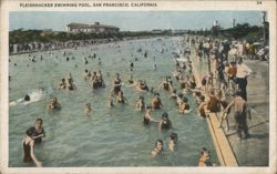 Fleishhacker Swimming Pool Postcard