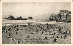 Cliff House and Seal Rocks Postcard