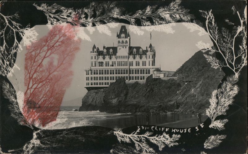Cliff House w/Pressed Seaweed/Plants San Francisco California