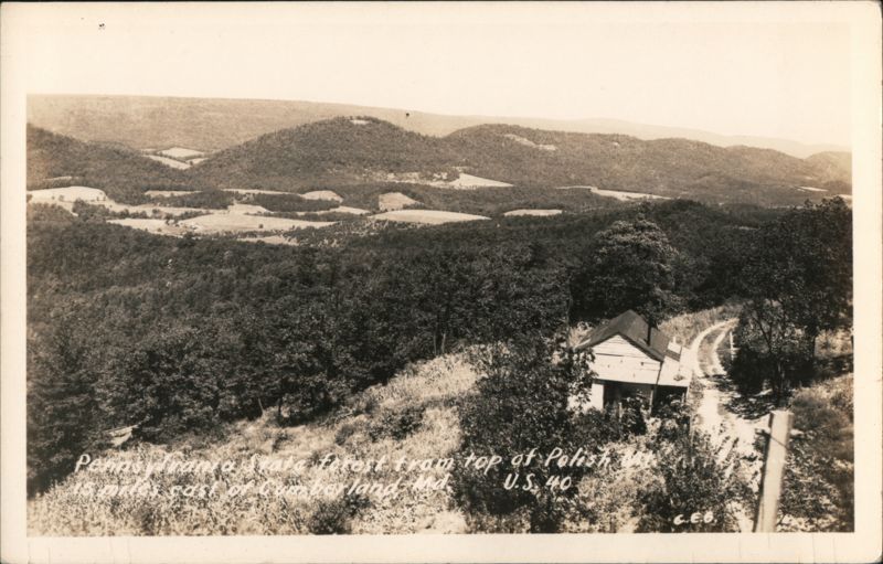 Pennsylvania State Forest Tram Top of Polish Mountain Cumberland Maryland