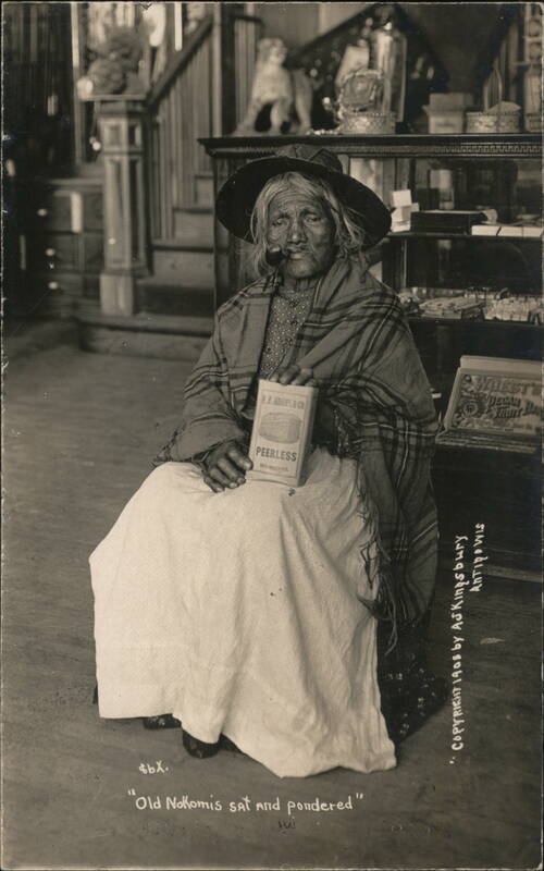 Old Nokomis sat and pondered Antigo Wisconsin Native Americana