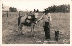 Desert Prospector Postcard