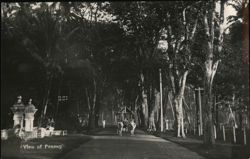 View of Penang Postcard