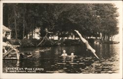 Devereux Pine Camps, North Anson, Maine Postcard