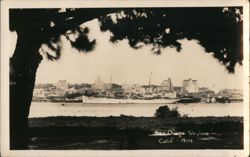 San Diego Skyline Postcard