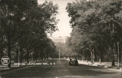 Entrada Chapultepec, Mexico Postcard