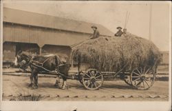 Horse Drawn Hay Wagon - Northern Pacific Railroad Postcard