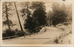 Driveway Around Lost Lagoon, Stanley Park Postcard