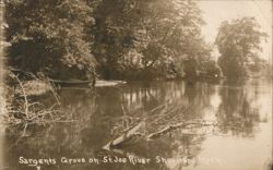 Sargents Grove on St. Joe River Postcard