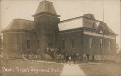 Public School Sherwood Mich Postcard