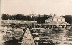 General View of Arnolds Park Postcard