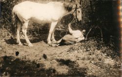 Noted Horse Tracks Postcard