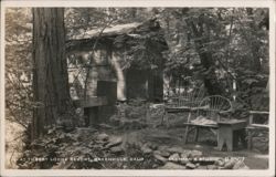 Forest Lodge Resort Postcard