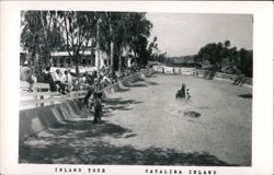 Inland Tour, Catalina Island Postcard