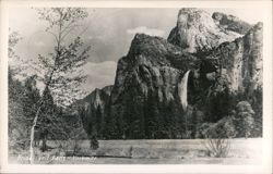 Bridal Veil Falls - Yosemite Postcard