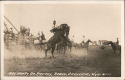 Ray Woolly On Plowboy, Rodeo Postcard