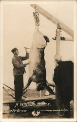 A Winters Supply - Jackrabbit Postcard