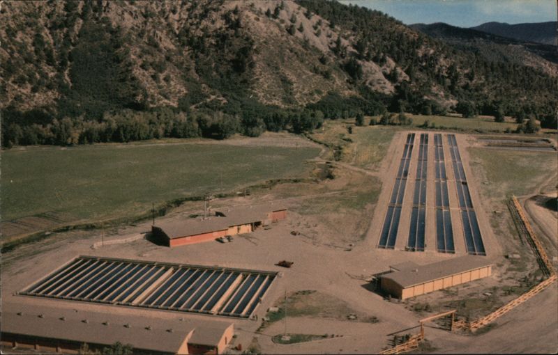 World's Largest Trout Hatchery, Rifle Falls Hatchery, CO Colorado