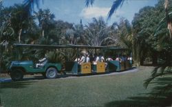 Fairchild Rambler Tour, Fairchild Tropical Garden Postcard