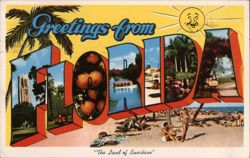 Greetings from Florida, The Land of Sunshine Postcard
