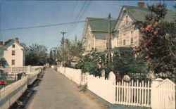 Street Scene in Quaint and Historic Tangier Island Postcard