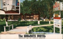 The Walnuts Motel, Highway 166, Mt. Vernon, MO Postcard