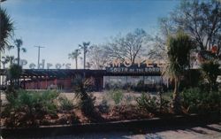 South of the Boarder Motel Postcard