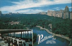 Penthouse Club Overlooking Central Park Postcard
