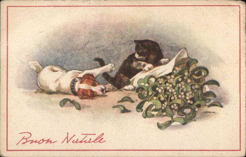 Dog and cat playing Dogs