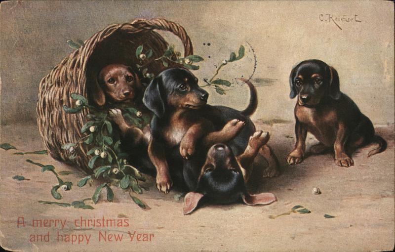 Black & Tan Puppies in a Basket Dachshunds