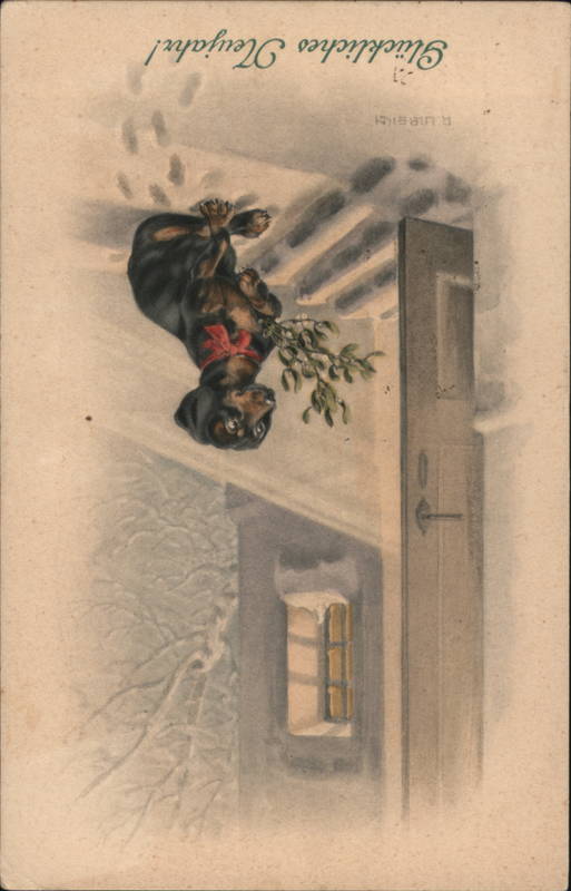 Dachsund on a Snowy Front Doorstep Dachshunds