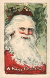 Santa Claus Surrounded by Holly Antonio Donadini Postcard Postcard Postcard