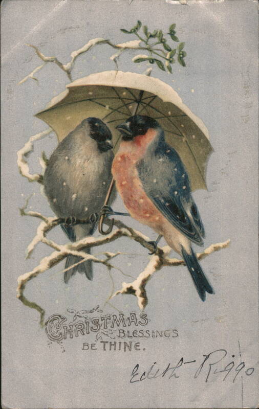 Christmas Blessings, Two Bullfinches Under Umbrella