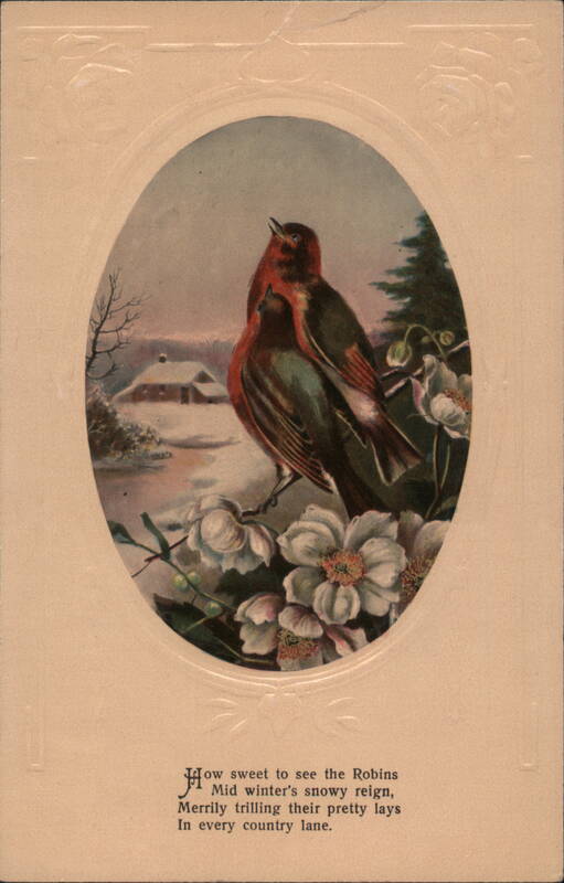 Robins Perched on Flowers in Winter Snow Scene Birds