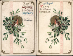 Christmas Wishes with Robin on Mistletoe Postcard
