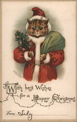 Louis Wain Cat Dressed as Santa Claus, Christmas Greeting Postcard