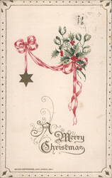 A Merry Christmas Greeting with Holly, Mistletoe, and Star Postcard