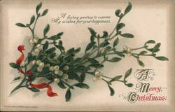 Merry Christmas Mistletoe Greeting Postcard